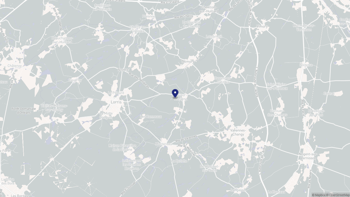Aperçu cartographique de La Cour-Marigny, centré sur la commune
