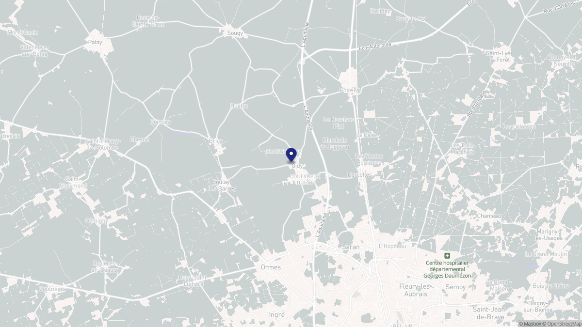 Aperçu cartographique de Gidy, centré sur la commune
