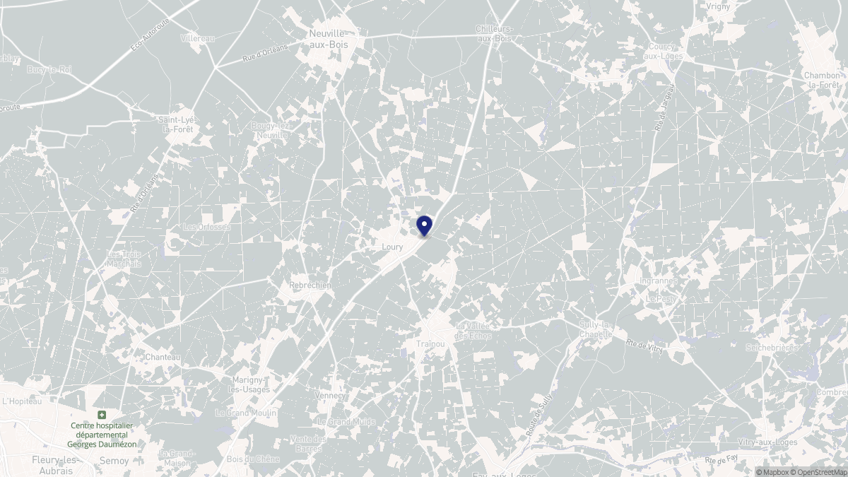 Aperçu cartographique de Loury, centré sur la commune