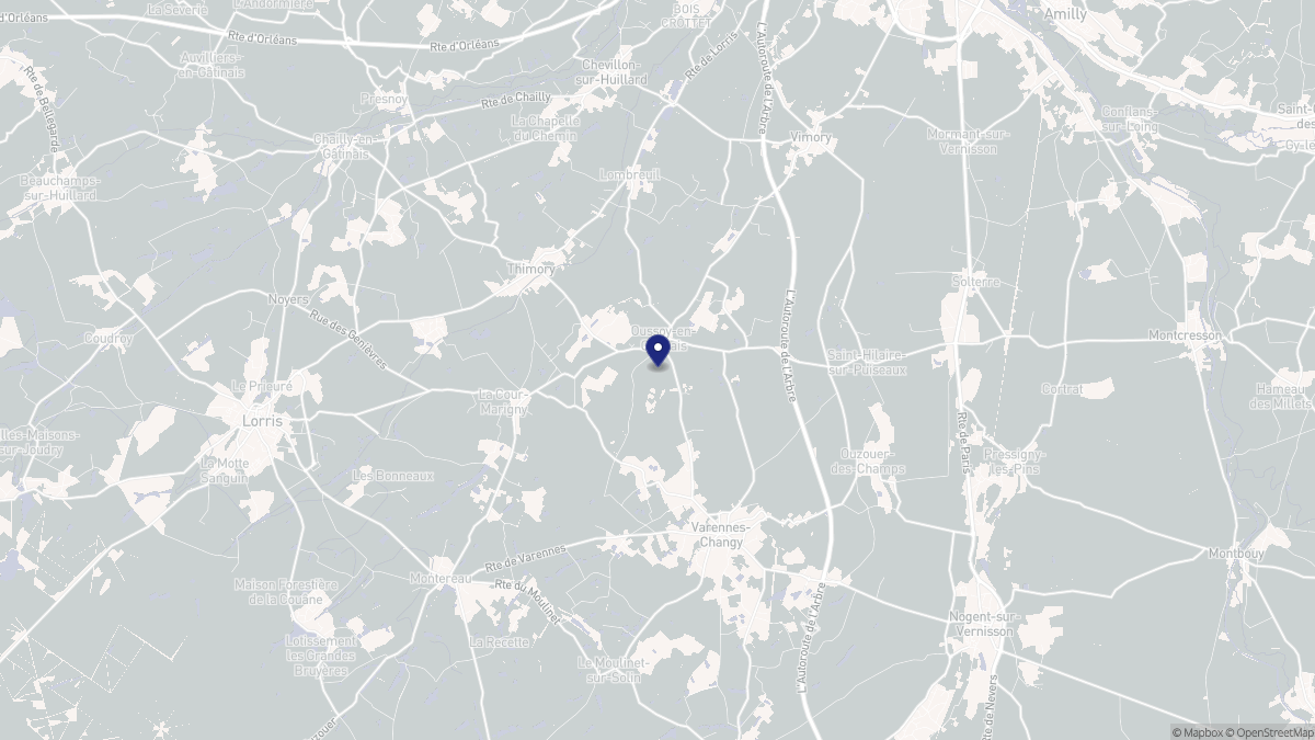Aperçu cartographique de Oussoy-en-Gâtinais, centré sur la commune