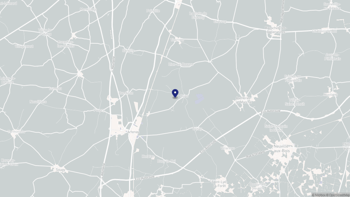 Aperçu cartographique de Ruan, centré sur la commune