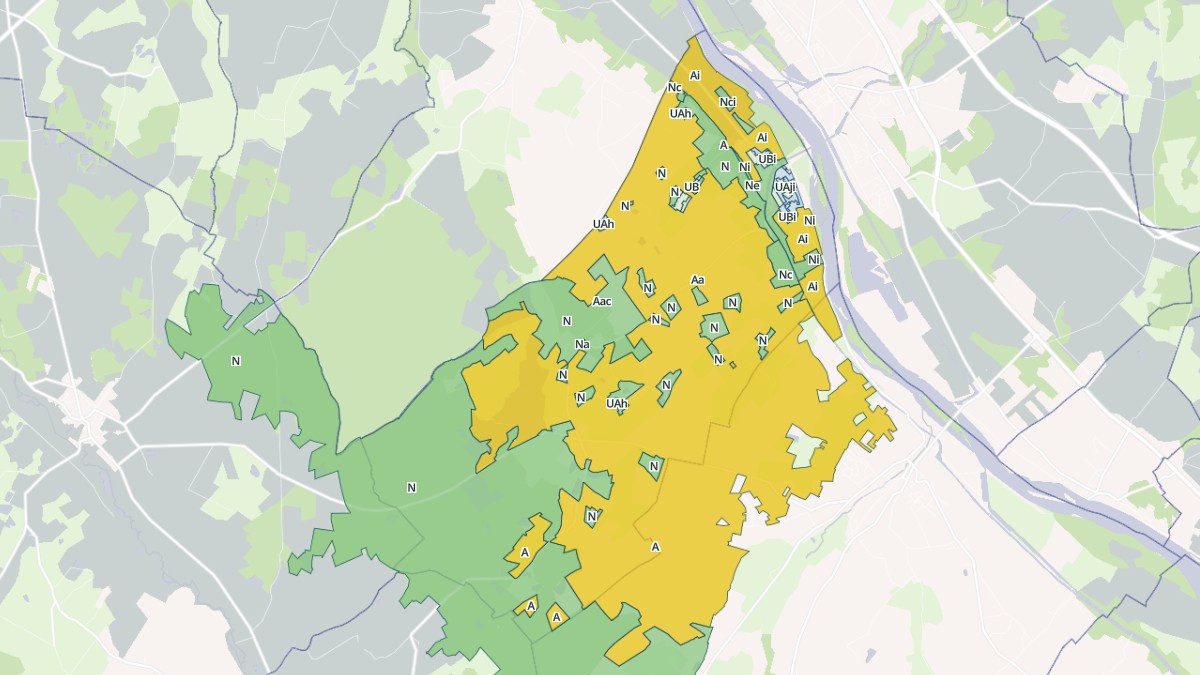 Aperçu cartographique de Saint-Firmin-sur-Loire, centré sur la commune