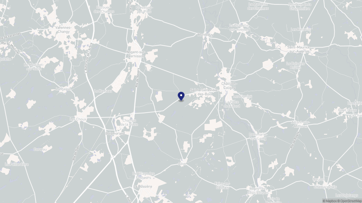 Aperçu cartographique de Sainte-Geneviève-des-Bois, centré sur la commune