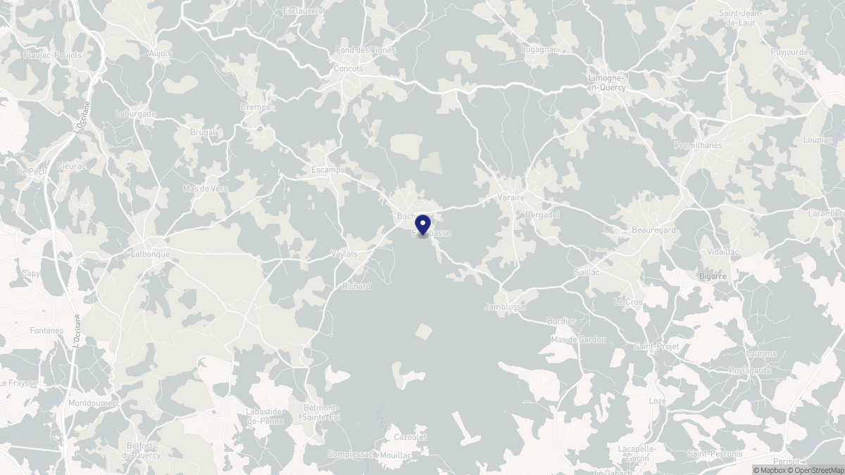 Aperçu cartographique de Bach, centré sur la commune