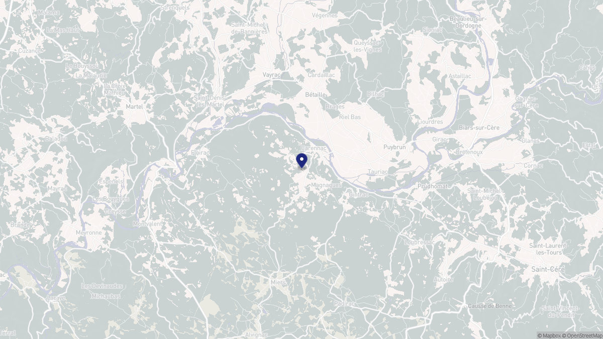 Aperçu cartographique de Carennac, centré sur la commune