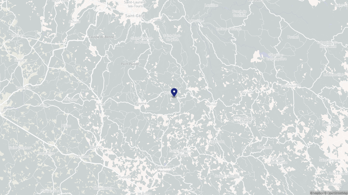Aperçu cartographique de Molières, centré sur la commune