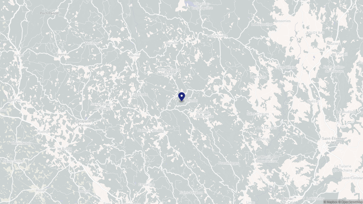 Aperçu cartographique de Montet-et-Bouxal, centré sur la commune