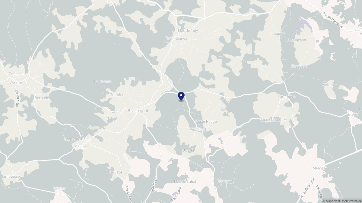 Aperçu cartographique de Vidaillac, centré sur la commune