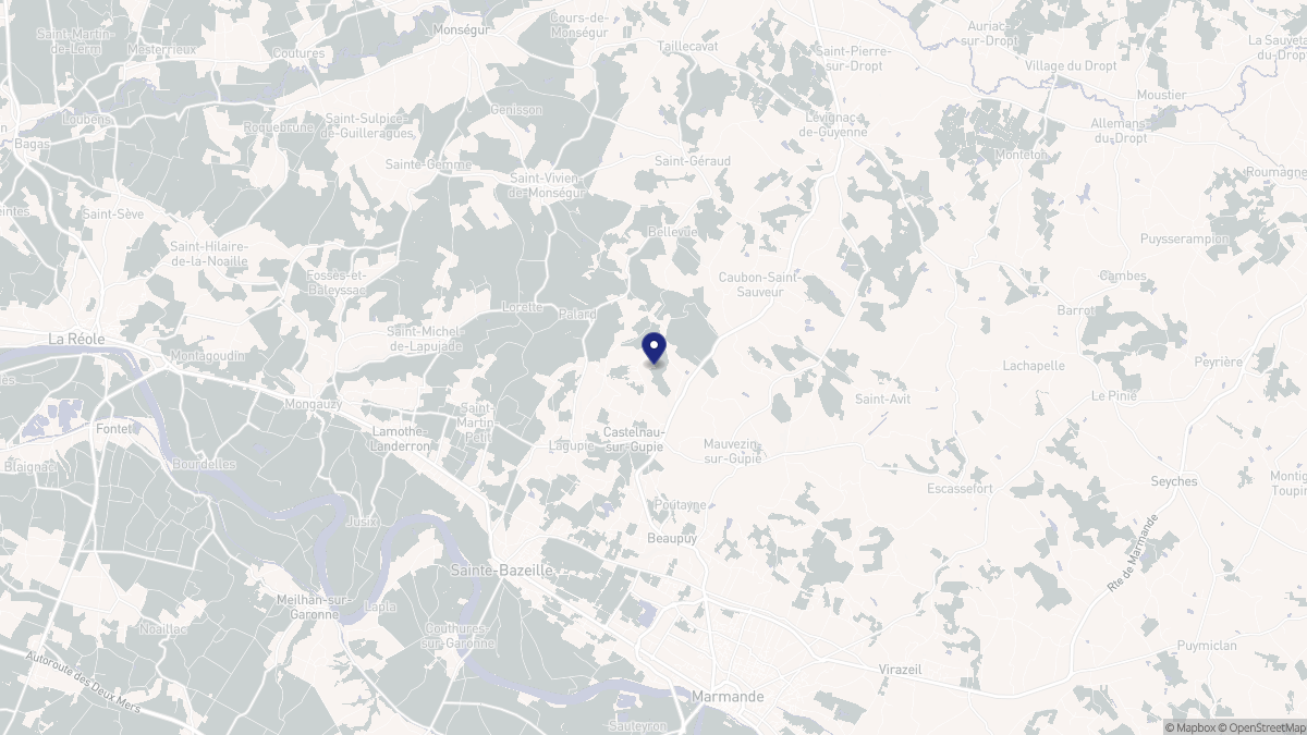 Aperçu cartographique de Castelnau-sur-Gupie, centré sur la commune