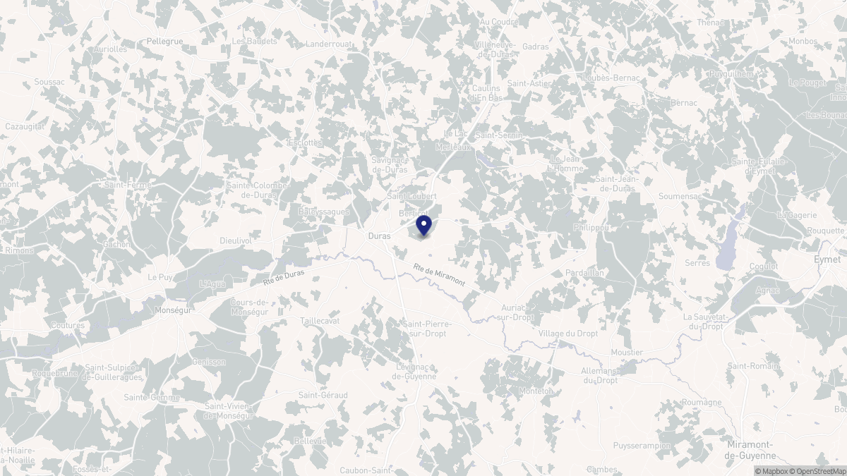 Aperçu cartographique de Duras, centré sur la commune