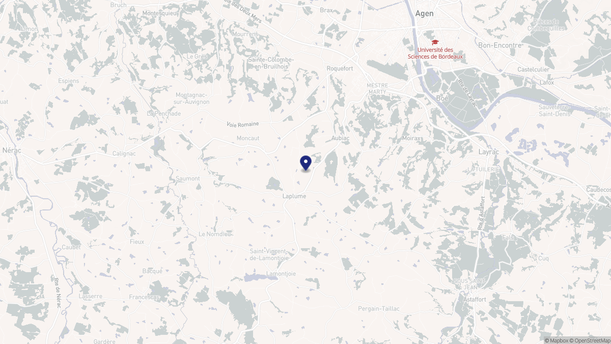 Aperçu cartographique de Laplume, centré sur la commune