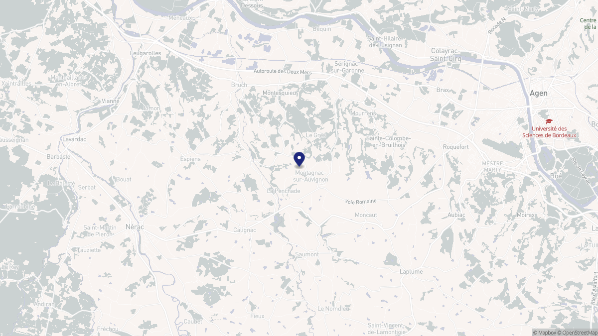 Aperçu cartographique de Montagnac-sur-Auvignon, centré sur la commune