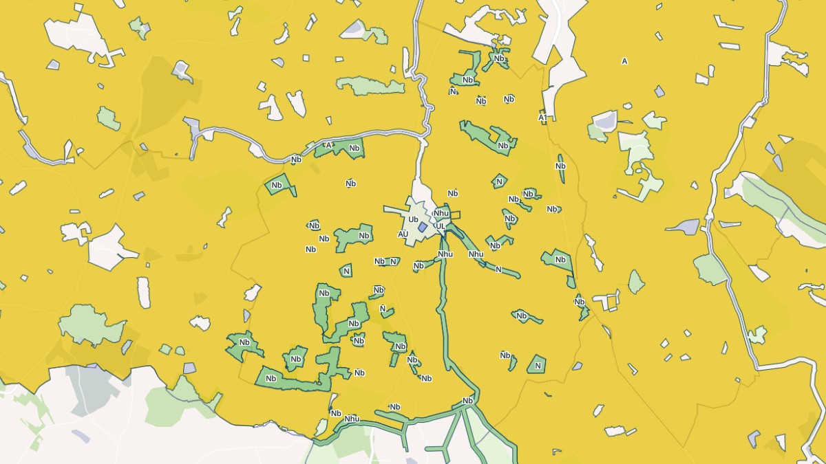 Aperçu cartographique de Montauriol, centré sur la commune
