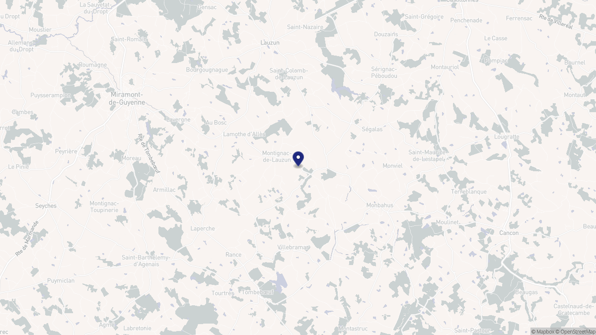 Aperçu cartographique de Montignac-de-Lauzun, centré sur la commune