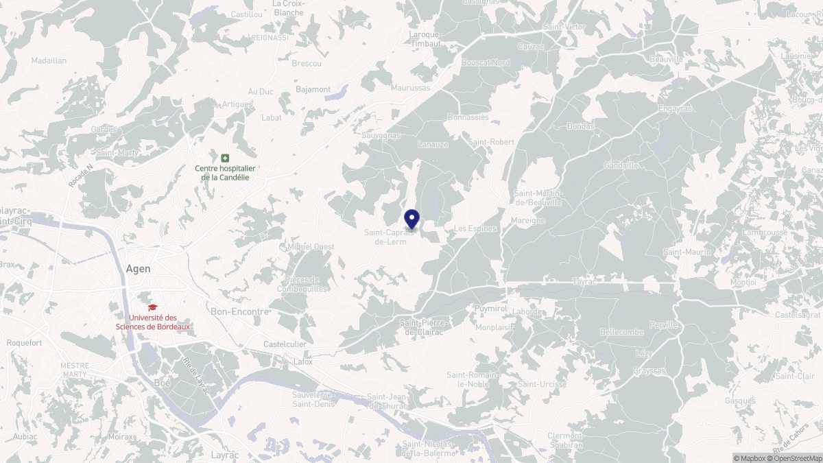 Aperçu cartographique de Saint-Caprais-de-Lerm, centré sur la commune