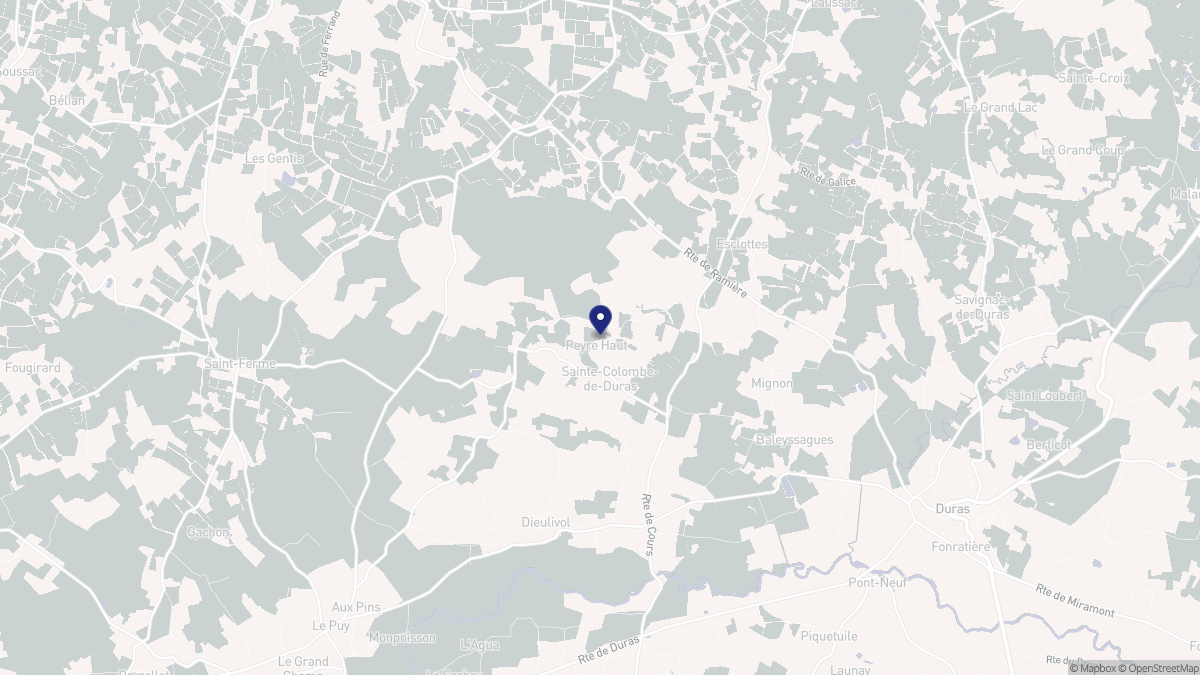 Aperçu cartographique de Sainte-Colombe-de-Duras, centré sur la commune