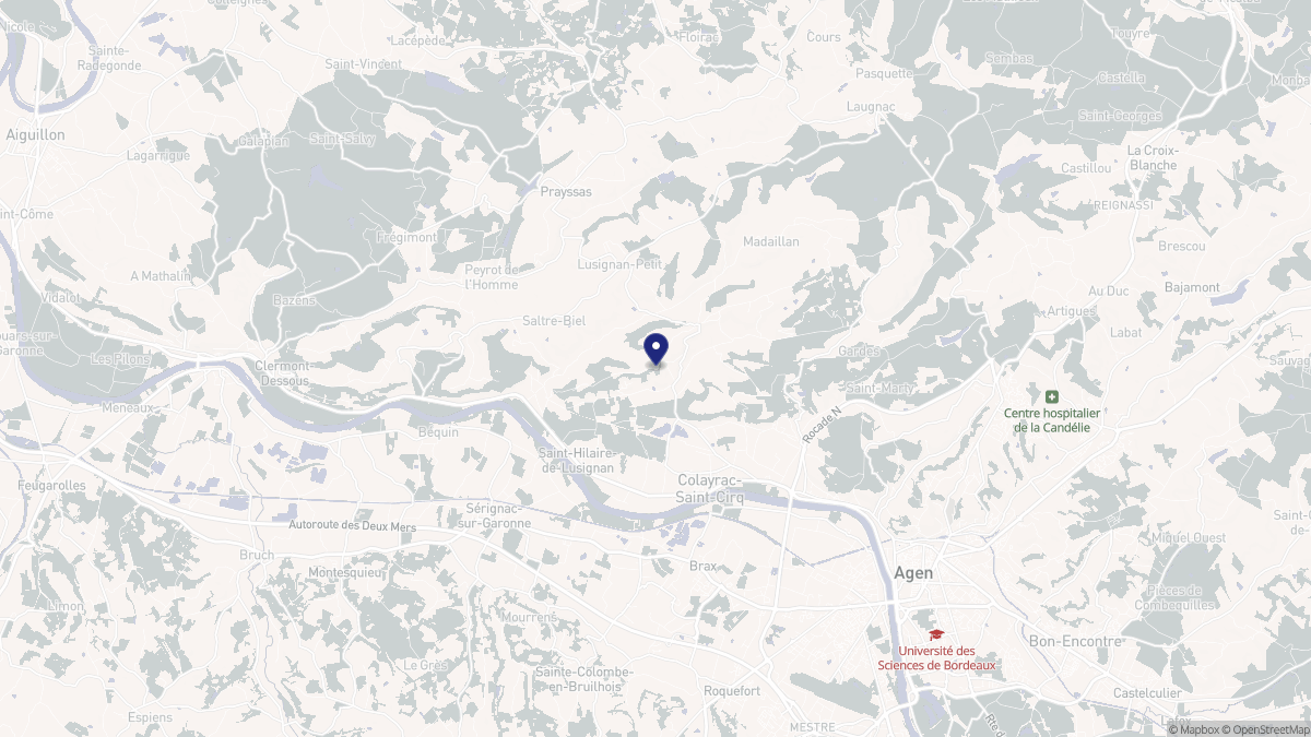 Aperçu cartographique de Saint-Hilaire-de-Lusignan, centré sur la commune