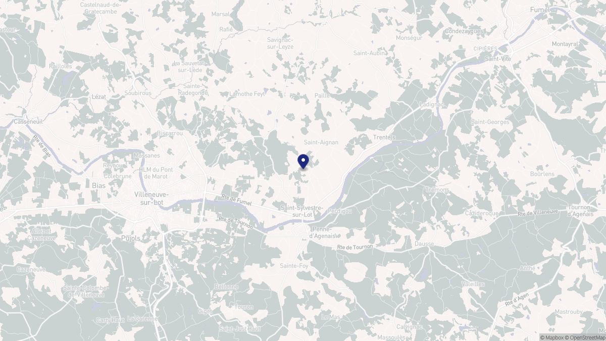 Aperçu cartographique de Saint-Sylvestre-sur-Lot, centré sur la commune
