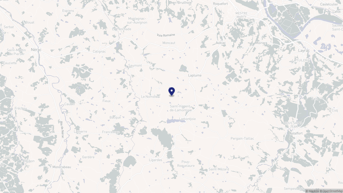 Aperçu cartographique de Saint-Vincent-de-Lamontjoie, centré sur la commune