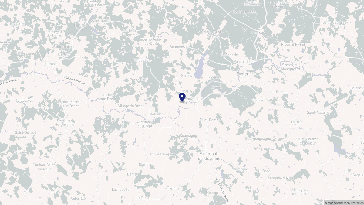 Aperçu cartographique de La Sauvetat-du-Dropt, centré sur la commune