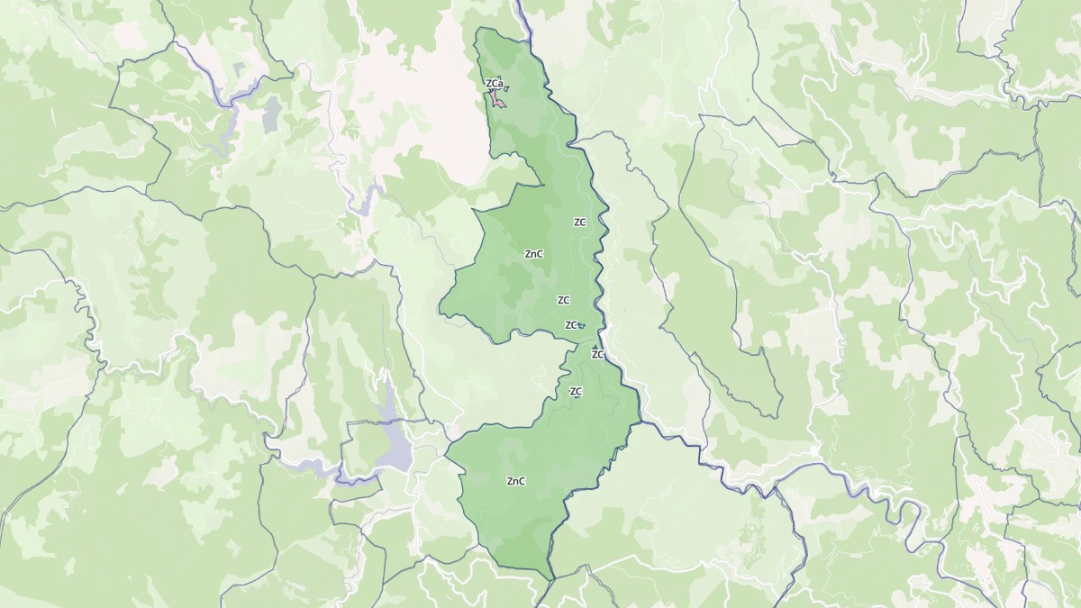Aperçu cartographique de Pied-de-Borne, centré sur la commune