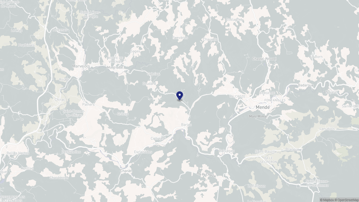 Aperçu cartographique de Barjac, centré sur la commune