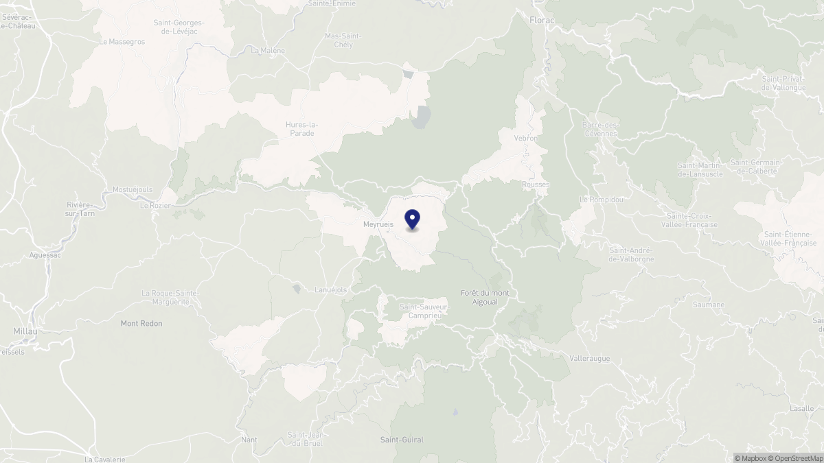 Aperçu cartographique de Meyrueis, centré sur la commune