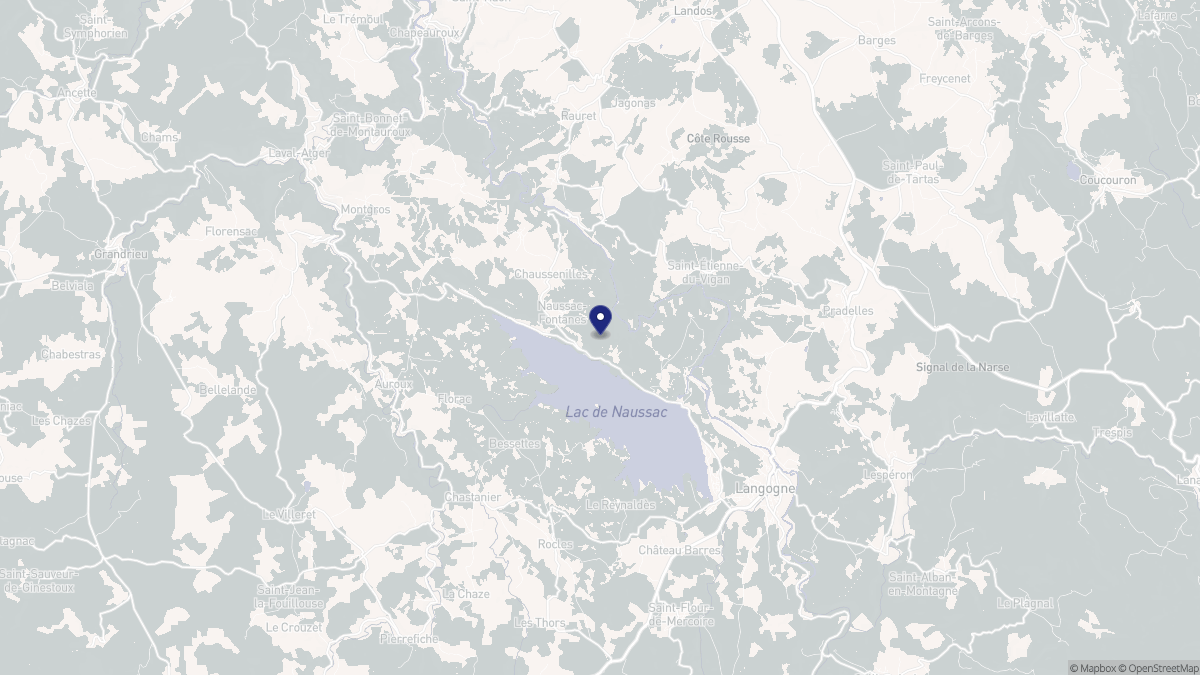 Aperçu cartographique de Naussac-Fontanes, centré sur la commune