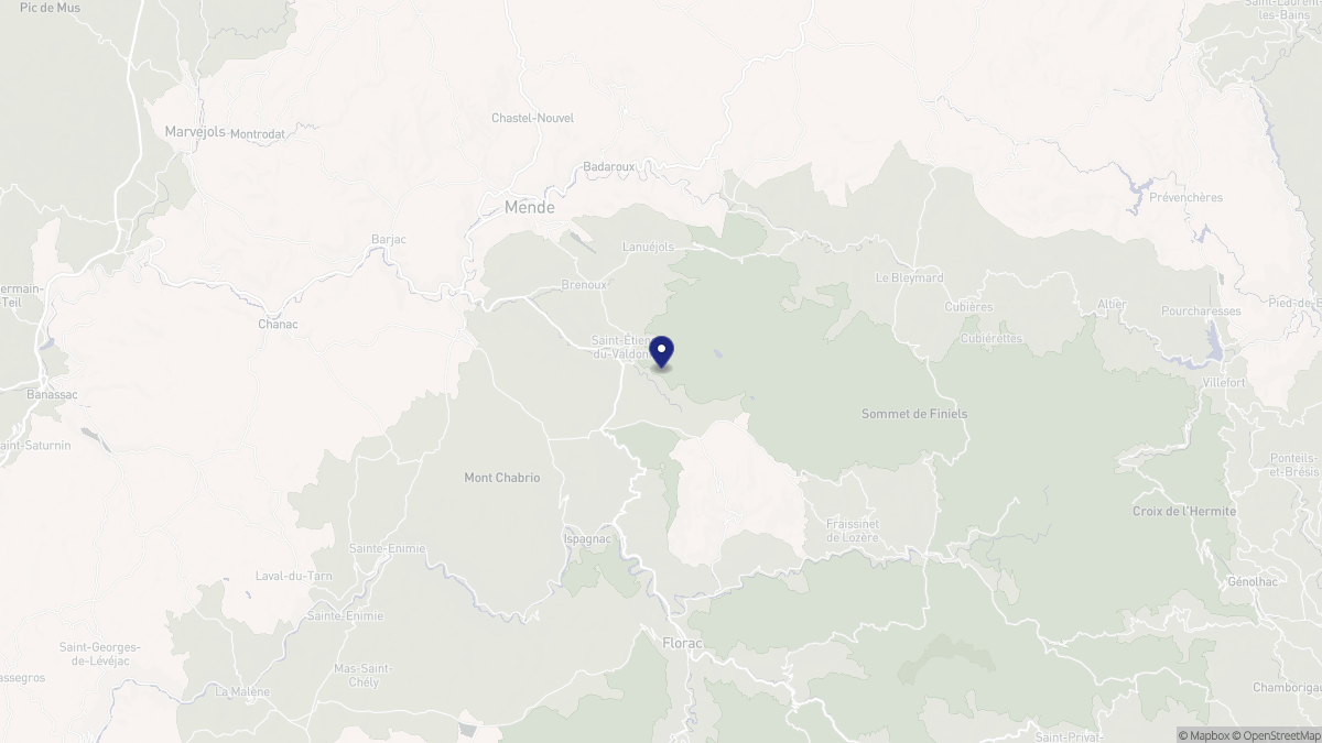 Aperçu cartographique de Saint-Étienne-du-Valdonnez, centré sur la commune
