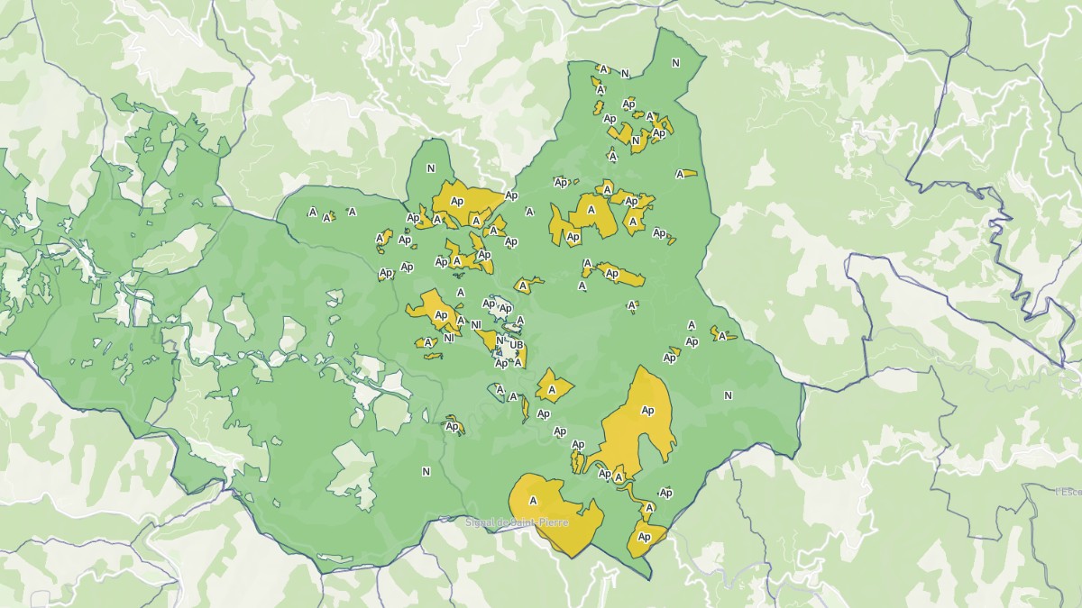 Aperçu cartographique de Saint-Étienne-Vallée-Française, centré sur la commune