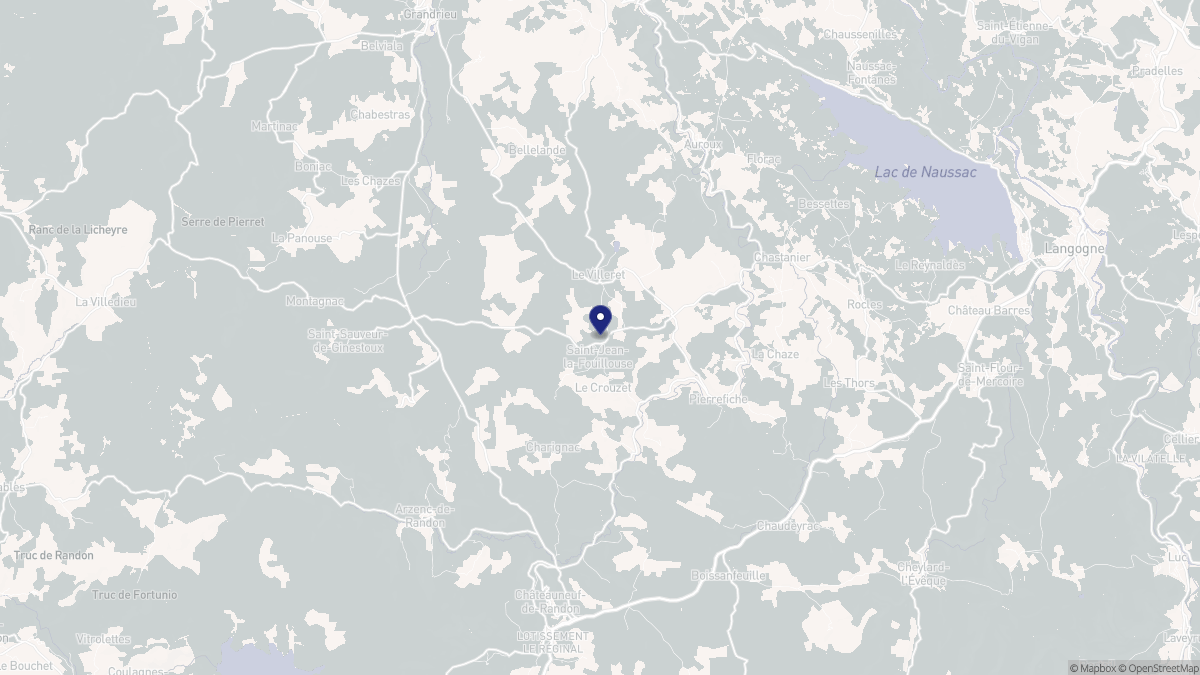 Aperçu cartographique de Saint-Jean-la-Fouillouse, centré sur la commune