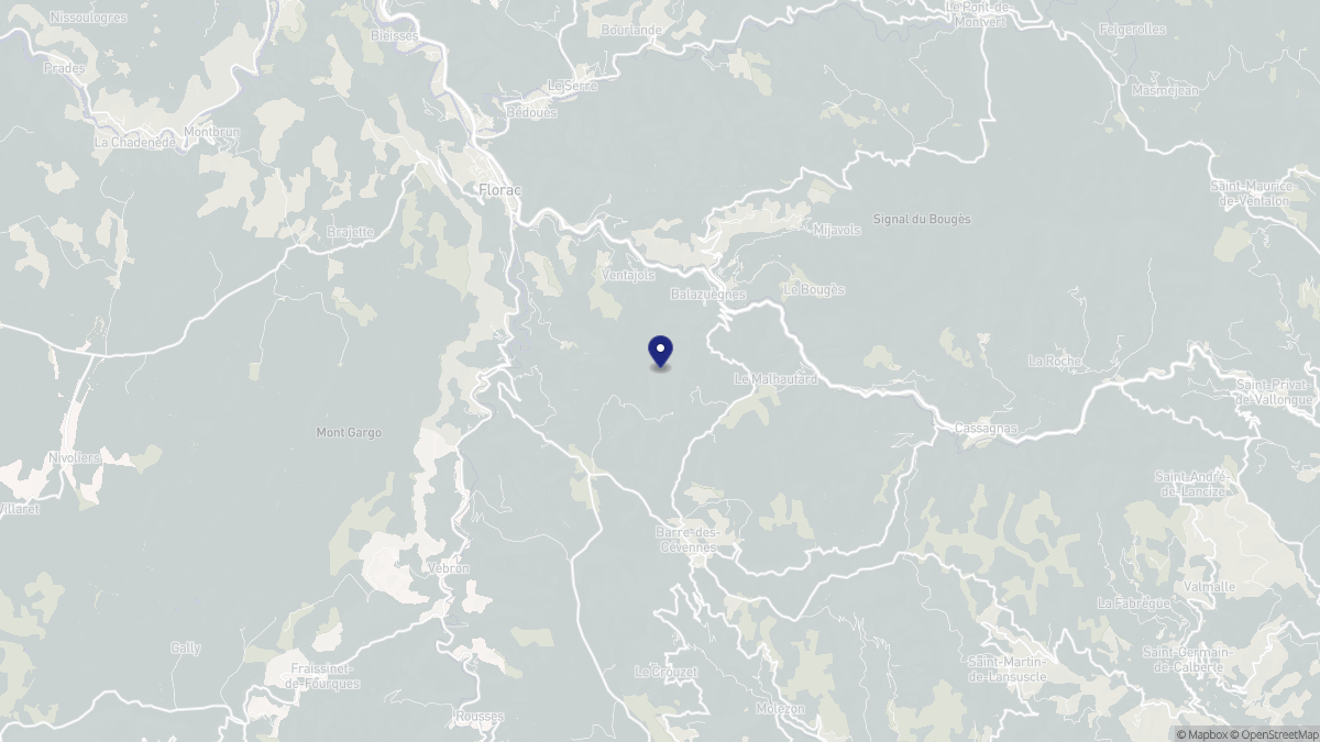 Aperçu cartographique de Cans et Cévennes, centré sur la commune