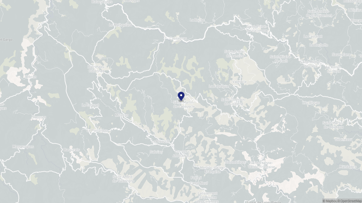 Aperçu cartographique de Saint-Martin-de-Lansuscle, centré sur la commune