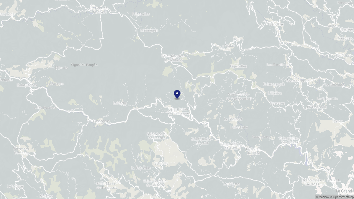 Aperçu cartographique de Saint-Privat-de-Vallongue, centré sur la commune
