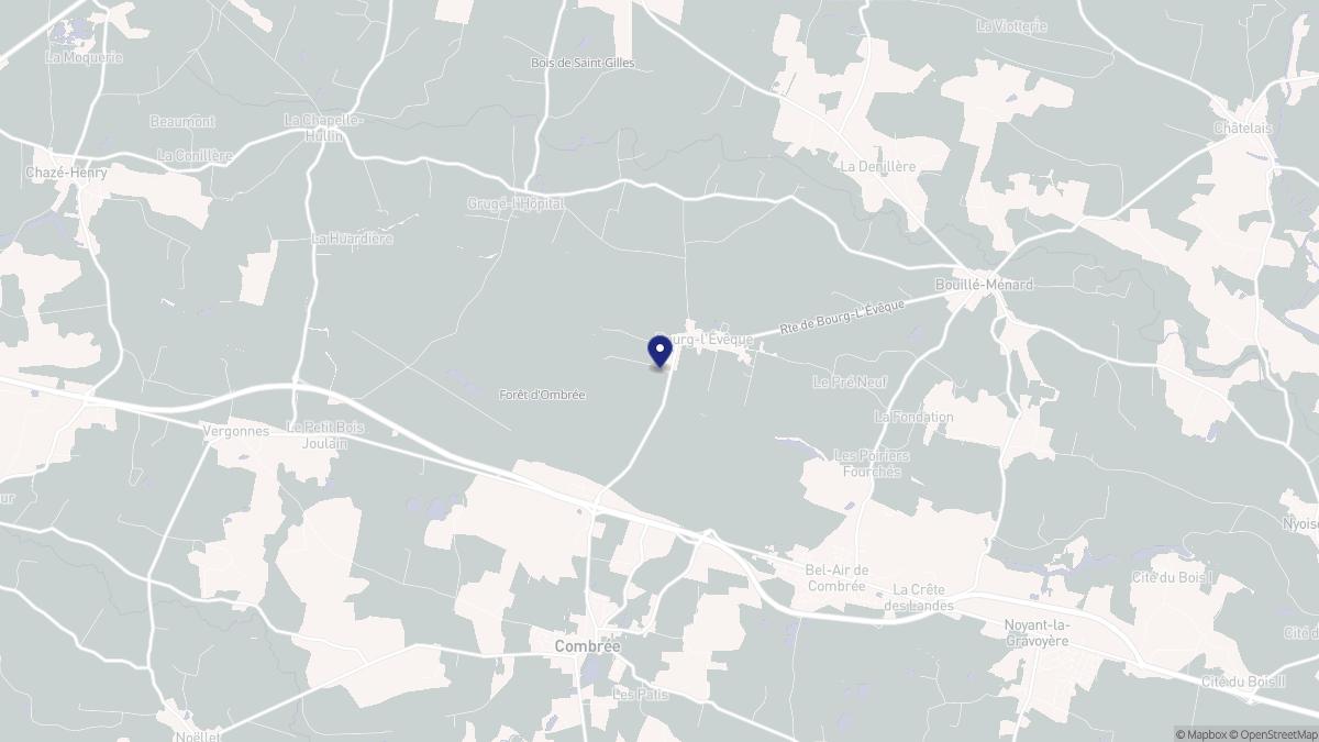 Aperçu cartographique de Bourg-l'Évêque, centré sur la commune