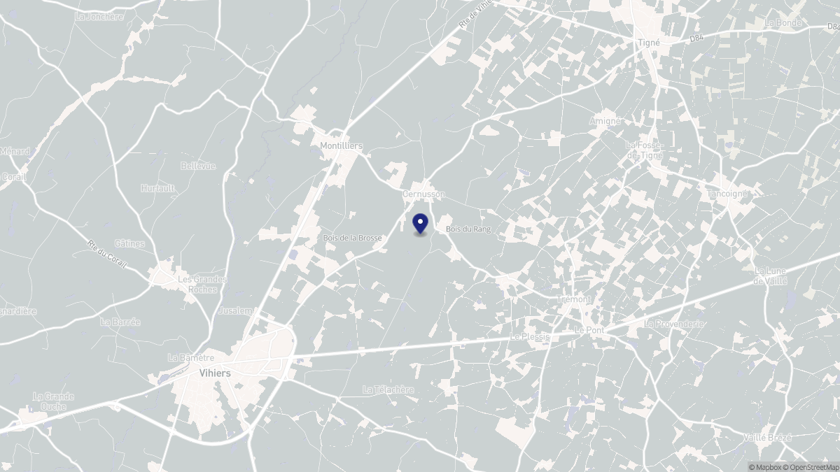 Aperçu cartographique de Cernusson, centré sur la commune