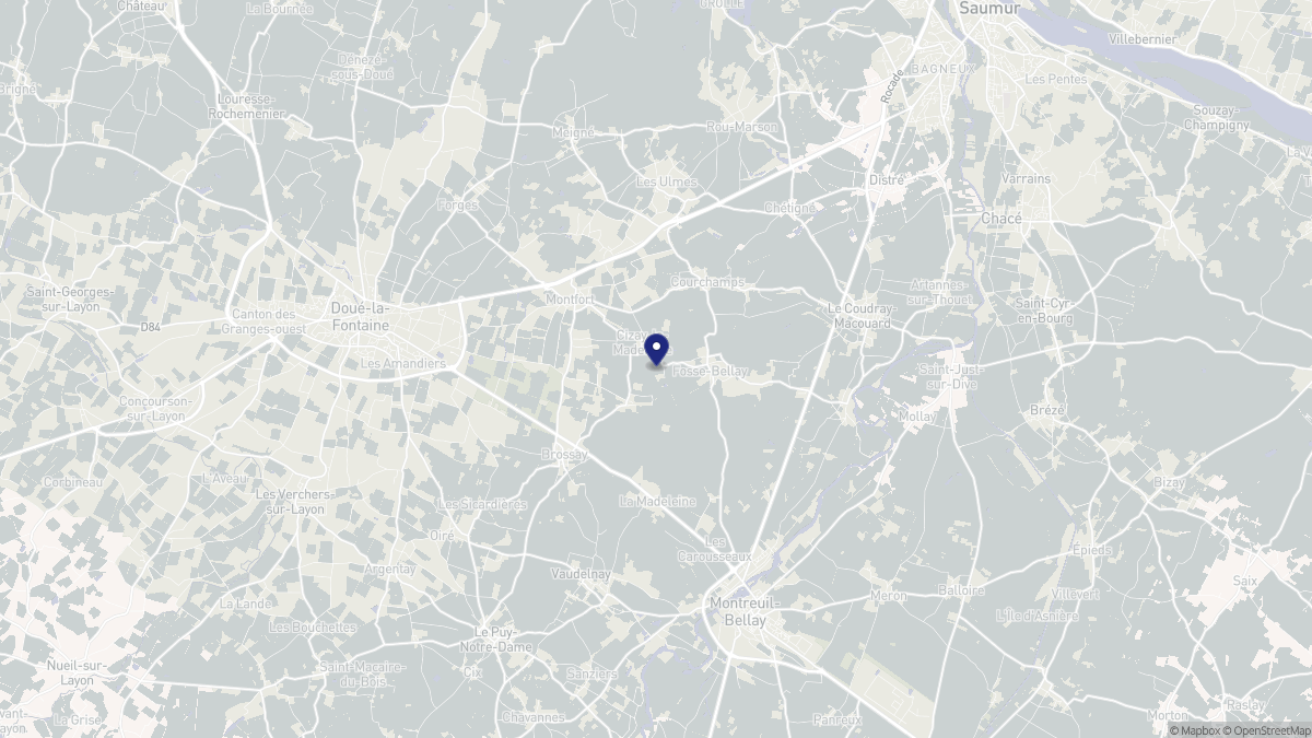 Aperçu cartographique de Cizay-la-Madeleine, centré sur la commune