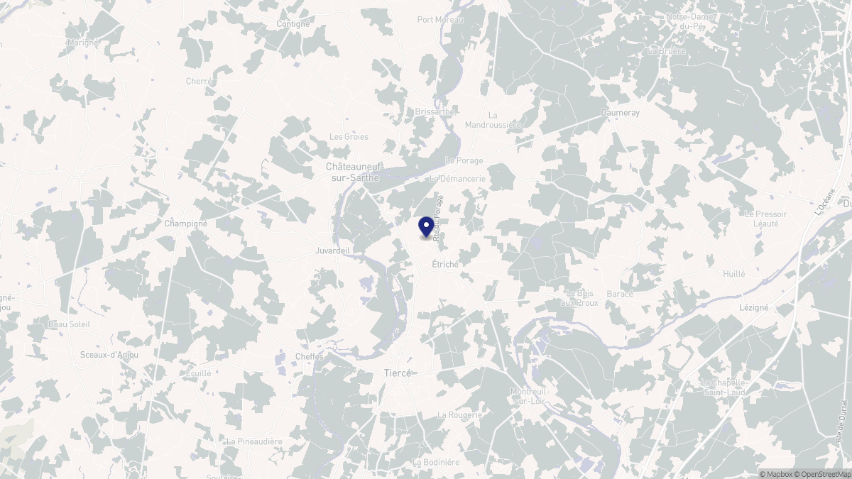 Aperçu cartographique de Étriché, centré sur la commune