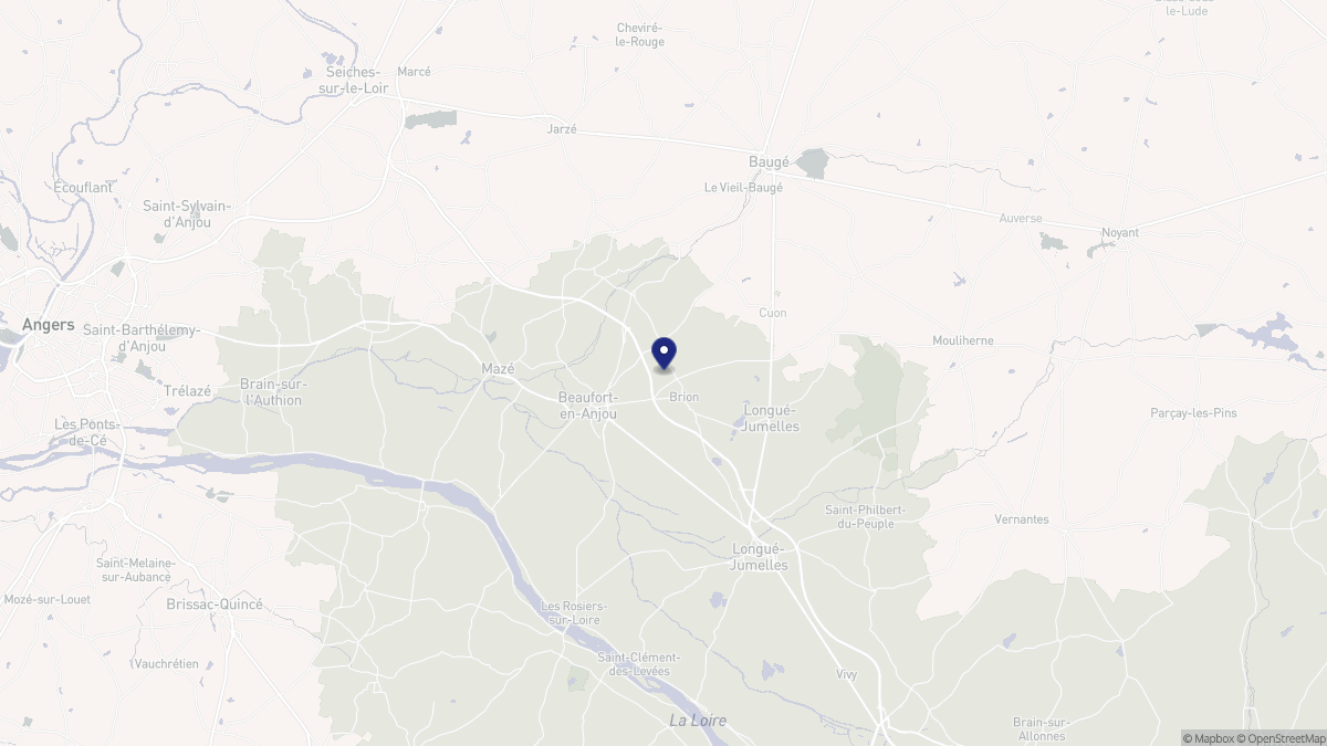 Aperçu cartographique de Les Bois d'Anjou, centré sur la commune
