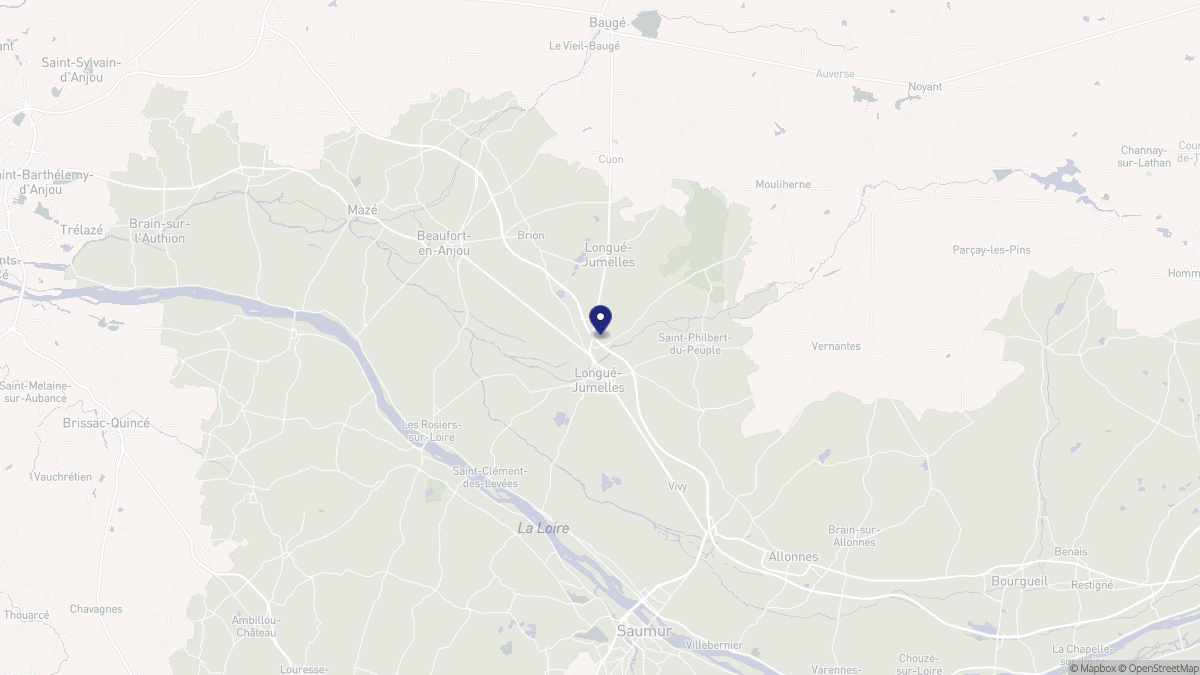 Aperçu cartographique de Longué-Jumelles, centré sur la commune