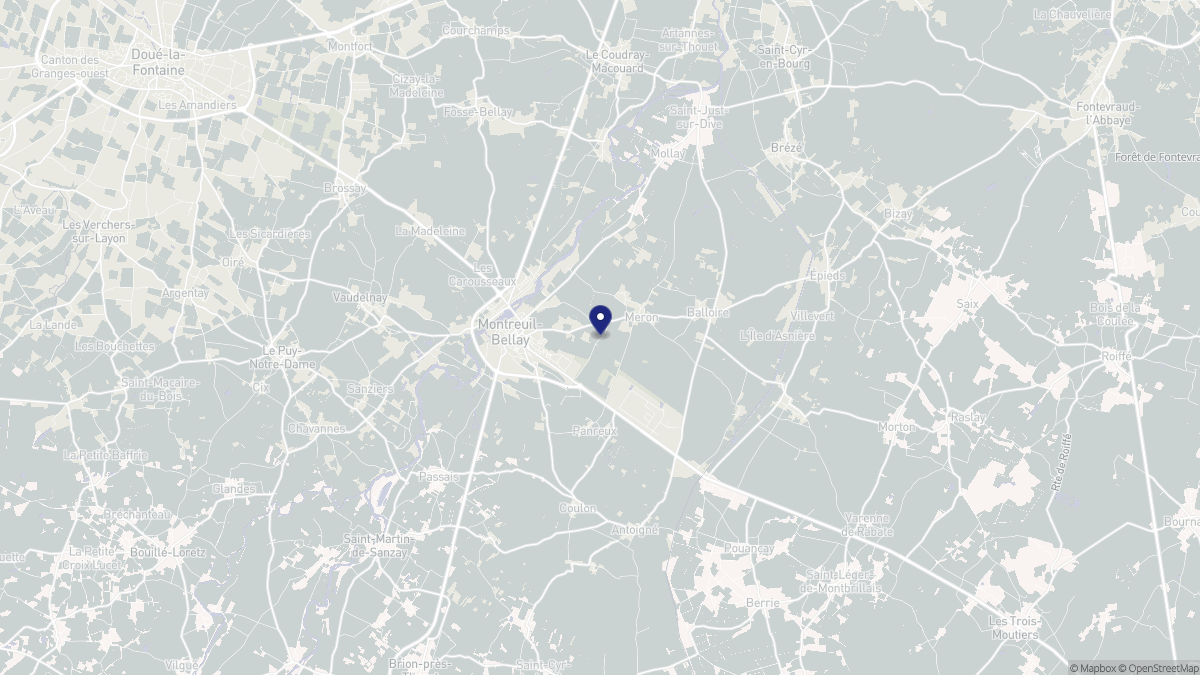 Aperçu cartographique de Montreuil-Bellay, centré sur la commune
