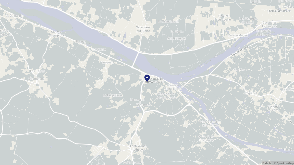Aperçu cartographique de Montsoreau, centré sur la commune