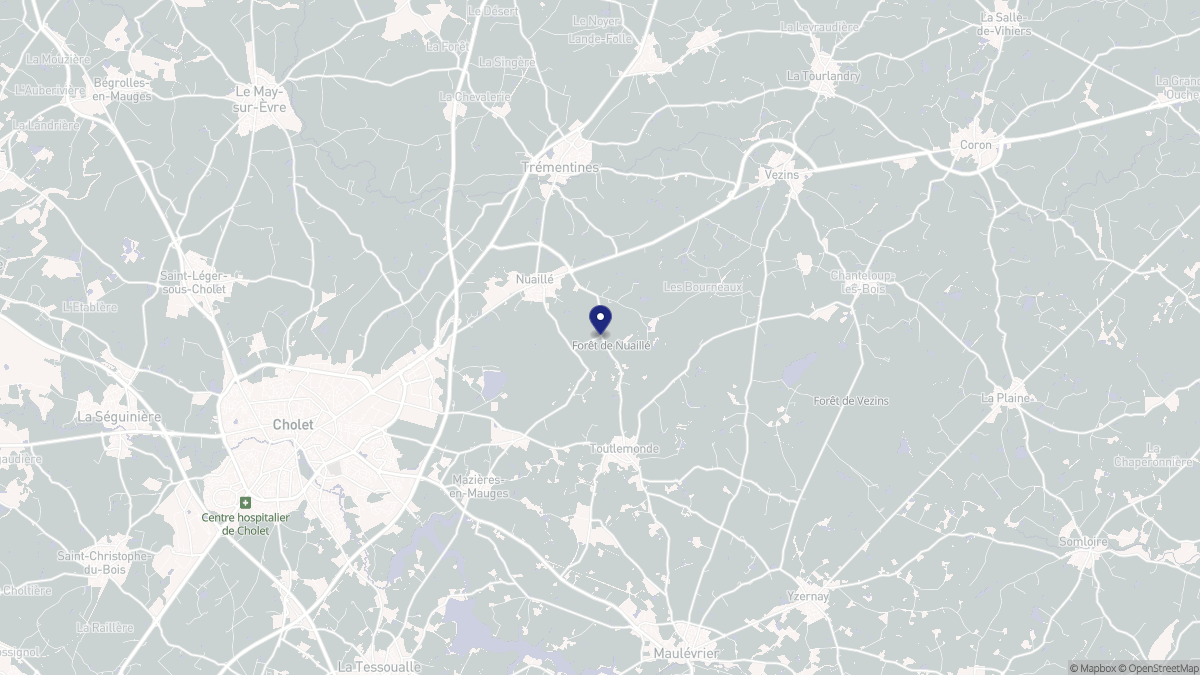 Aperçu cartographique de Nuaillé, centré sur la commune