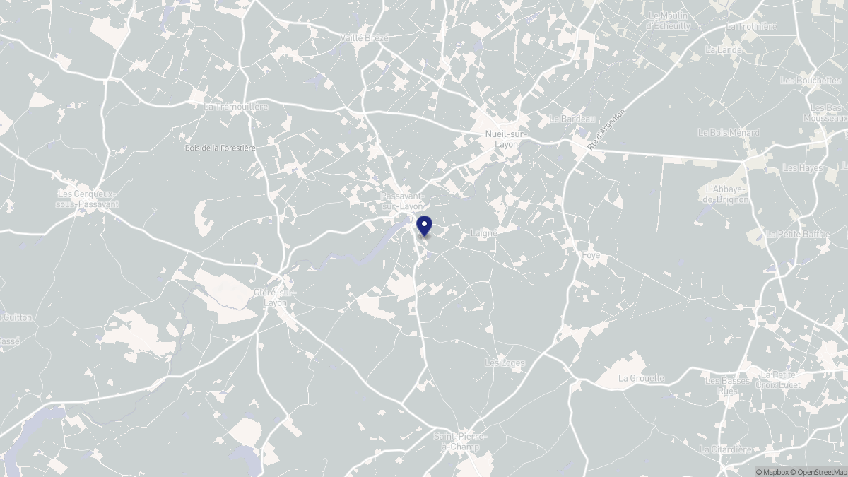 Aperçu cartographique de Passavant-sur-Layon, centré sur la commune