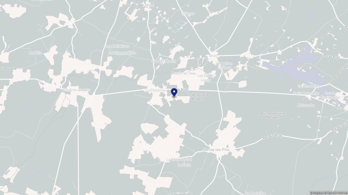 Aperçu cartographique de La Pellerine, centré sur la commune