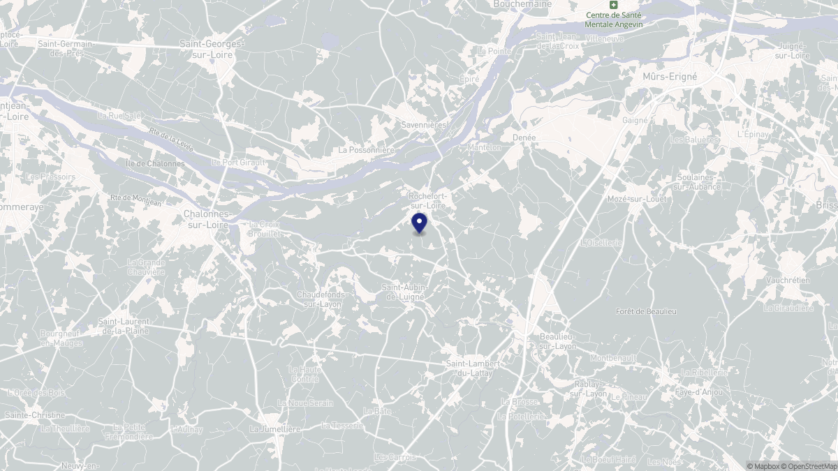Aperçu cartographique de Rochefort-sur-Loire, centré sur la commune