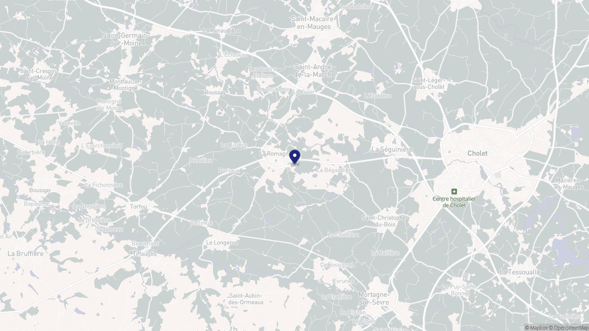 Aperçu cartographique de La Romagne, centré sur la commune