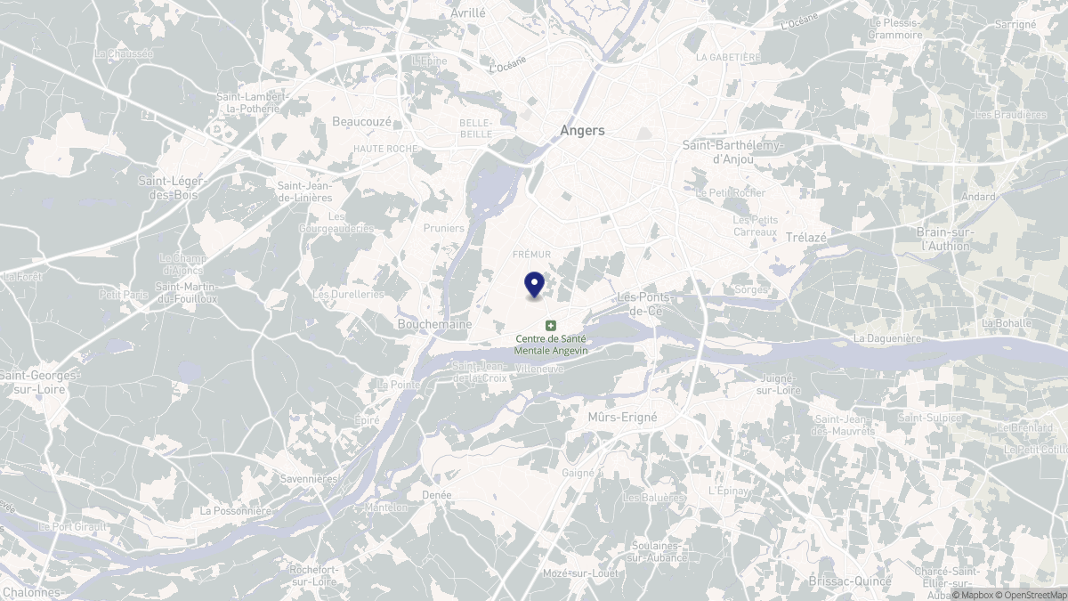 Aperçu cartographique de Sainte-Gemmes-sur-Loire, centré sur la commune