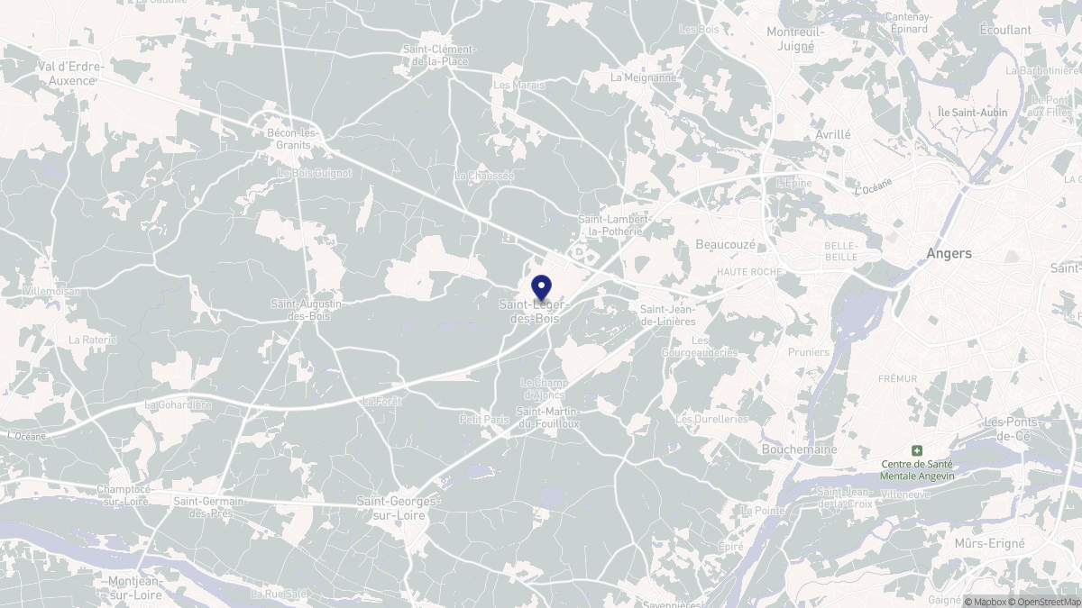 Aperçu cartographique de Saint-Léger-de-Linières, centré sur la commune