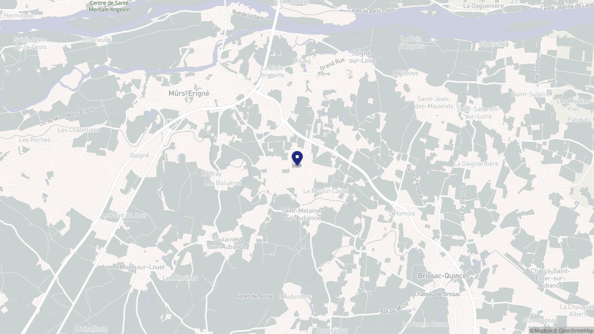 Aperçu cartographique de Saint-Melaine-sur-Aubance, centré sur la commune
